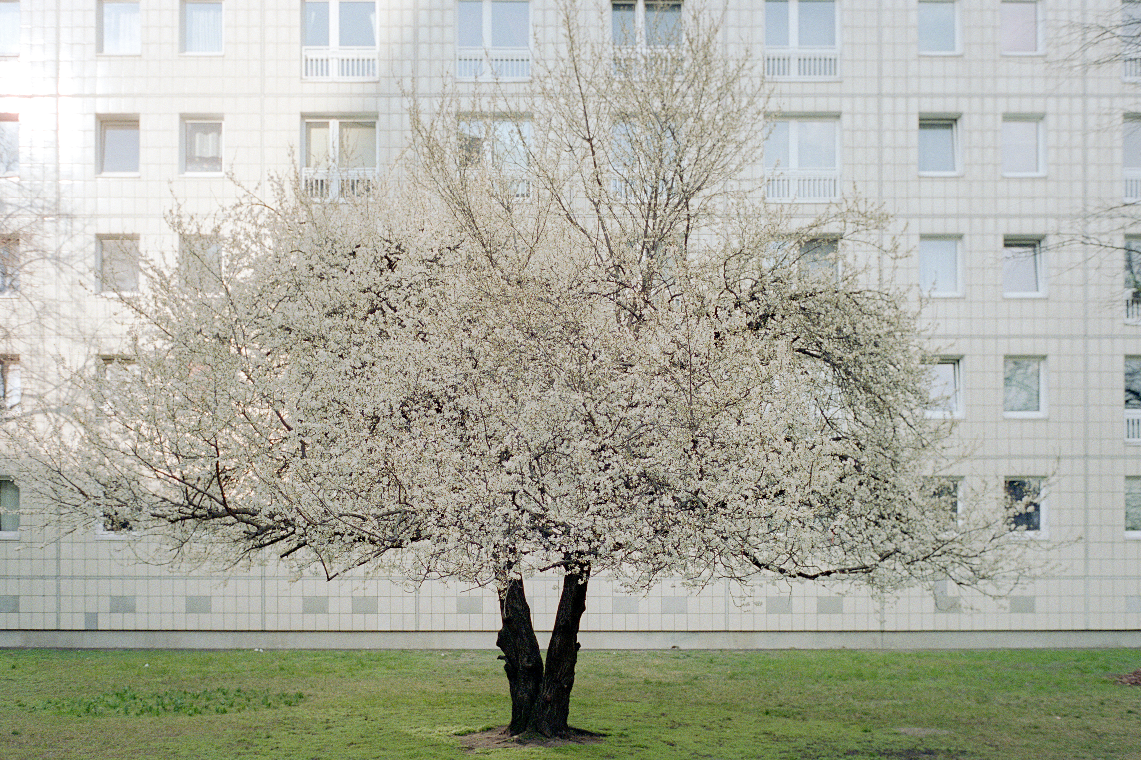 Härtefallfonds Energieschulden